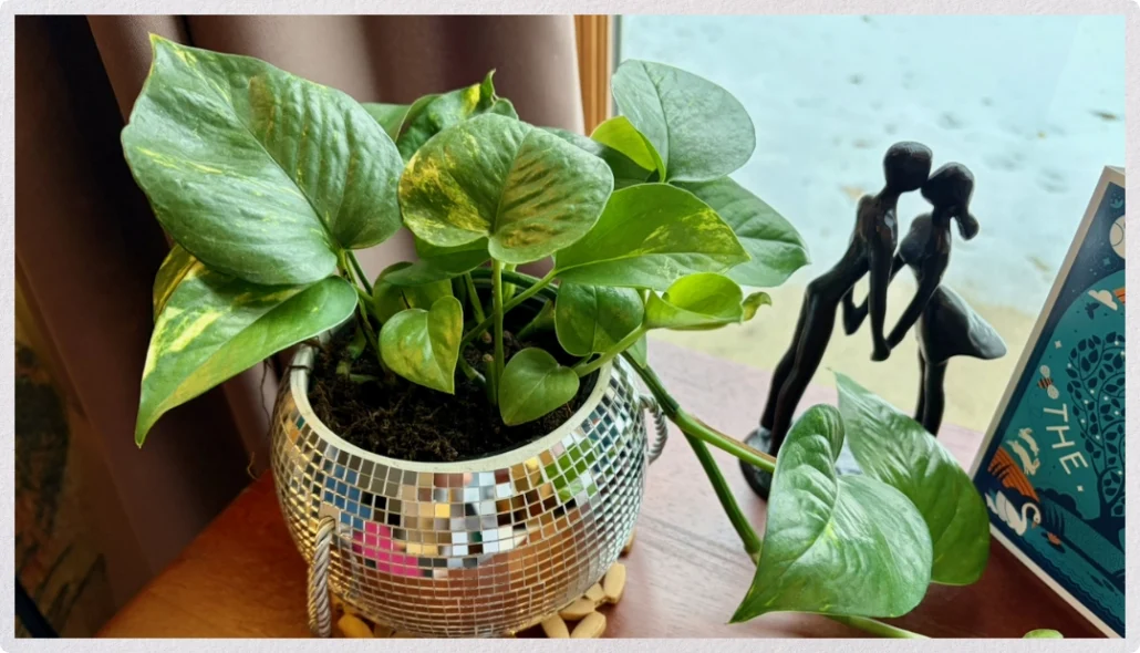 A green houseplant in a silver disco ball planter next to a small sculpture of a couple.
